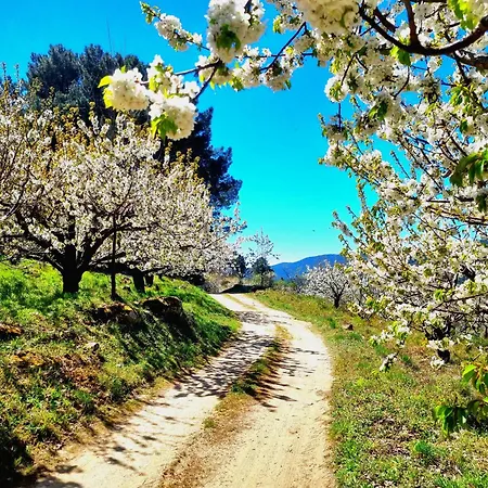 Naharro By #cherrygredos