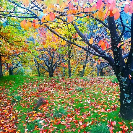 Апартаменты Naharro By #cherrygredos