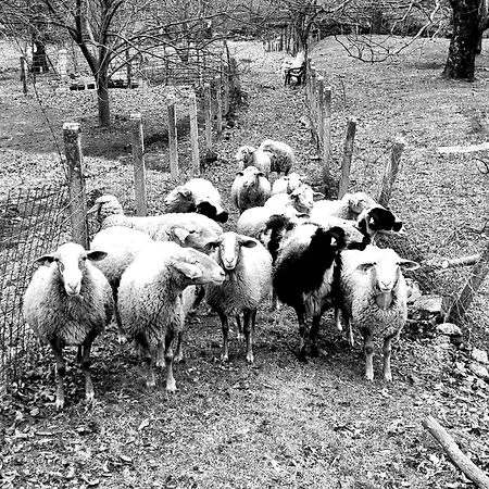 Naharro By #cherrygredos Апартаменты Эль-Ареналь