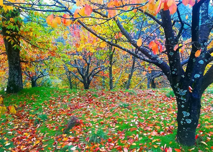 Lejlighed Naharro By #cherrygredos