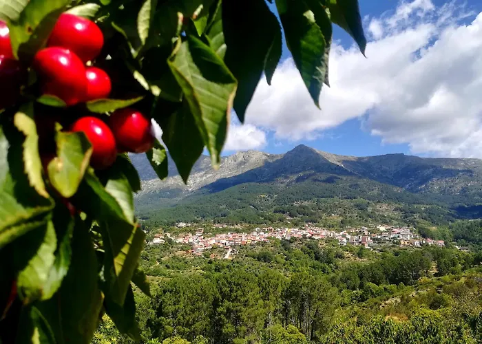 Naharro By #cherrygredos