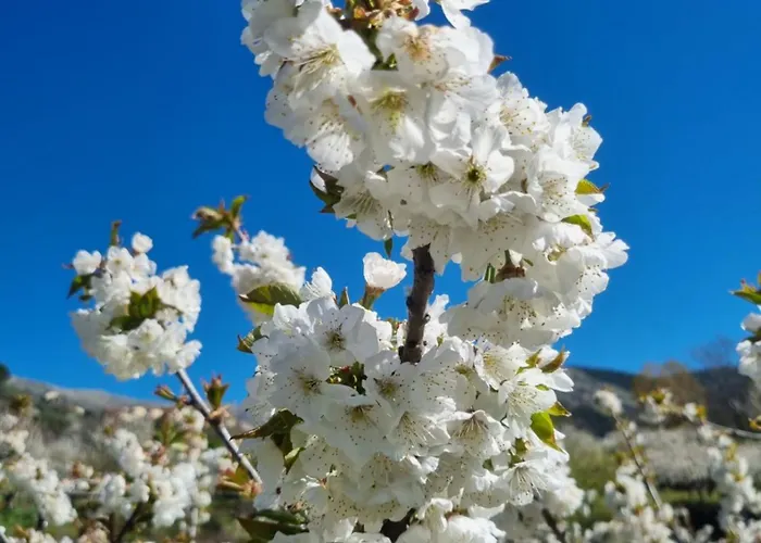 Naharro By #cherrygredos * El Arenal (Castile and Leon)