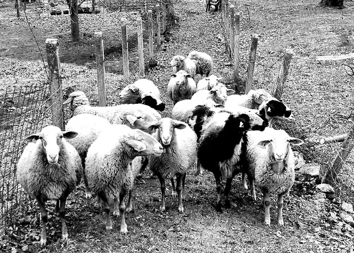 Naharro By #cherrygredos Lejlighed El Arenal (Castile and Leon)