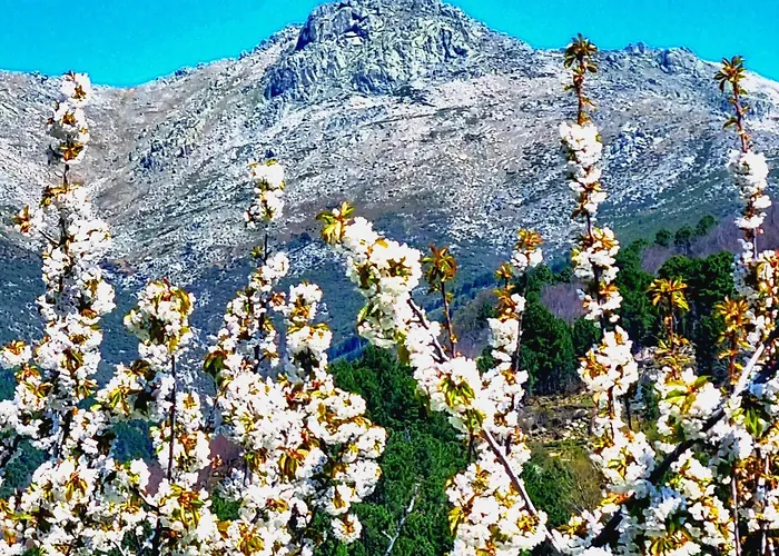 Naharro By #cherrygredos Lejlighed El Arenal (Castile and Leon)